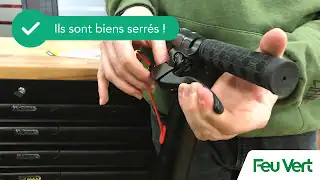 Feu Vert, Perpignan